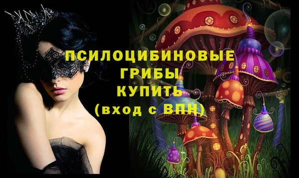 дурь Алзамай