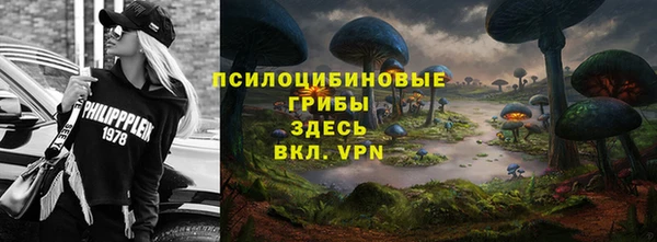 дурь Алзамай